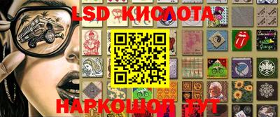 шишки Брянск