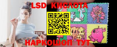 шишки Брянск