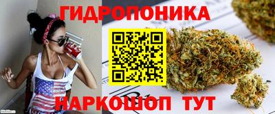 шишки Брянск
