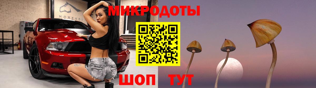 Осинники  Галлюциногенные грибы прущие грибы  Вход с VPN 